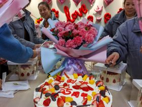 LD.COM-乐动(中国)官方网站
举办三八妇女节活动