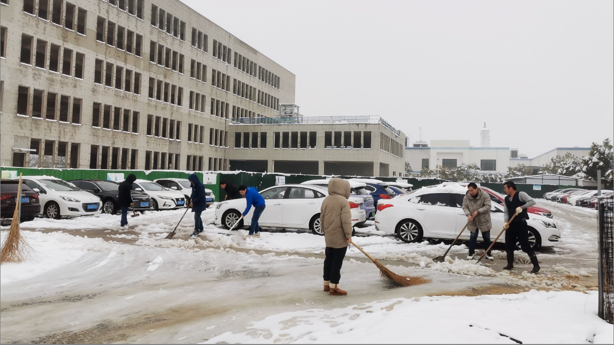 雪绽琼花日 扫雪暖心时丨LD.COM-乐动(中国)官方网站
开展扫雪除冰活动